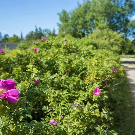 0219-romo-e-jensensvej-9-a Tagholm